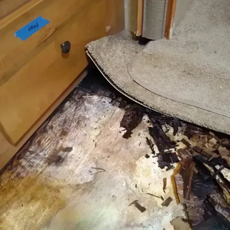 Wood Floor Water Damage in Brilliant, OH